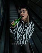 پافر زبرا - تصویر 2